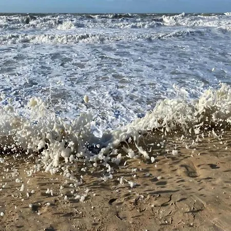 Cozy Near The * Ostend