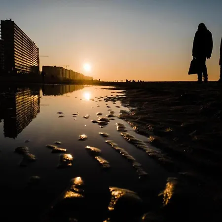 Cozy Near The Appartement *