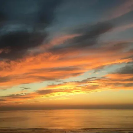 Cozy Near The Ostend