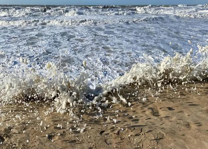 Cozy Near The * 奥斯滕德