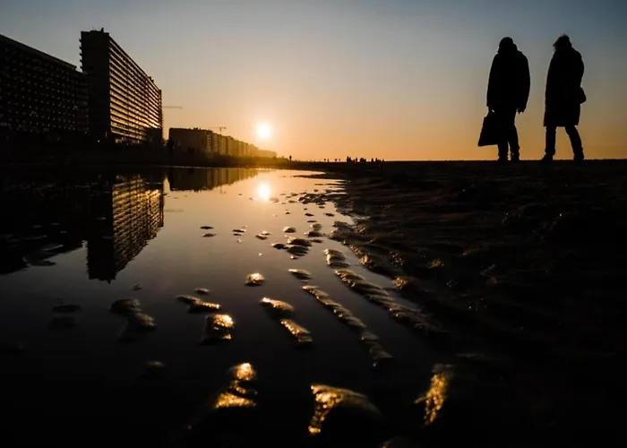 Cozy Near The 公寓 *