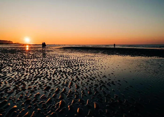 Cozy Near The 公寓 奥斯滕德