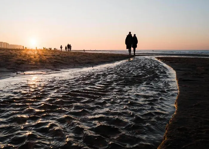 Cozy Near The Ostende